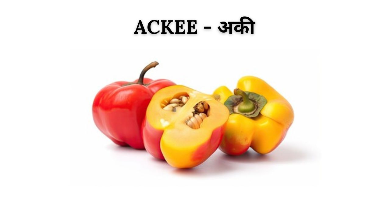 Ackee meaning in hindi