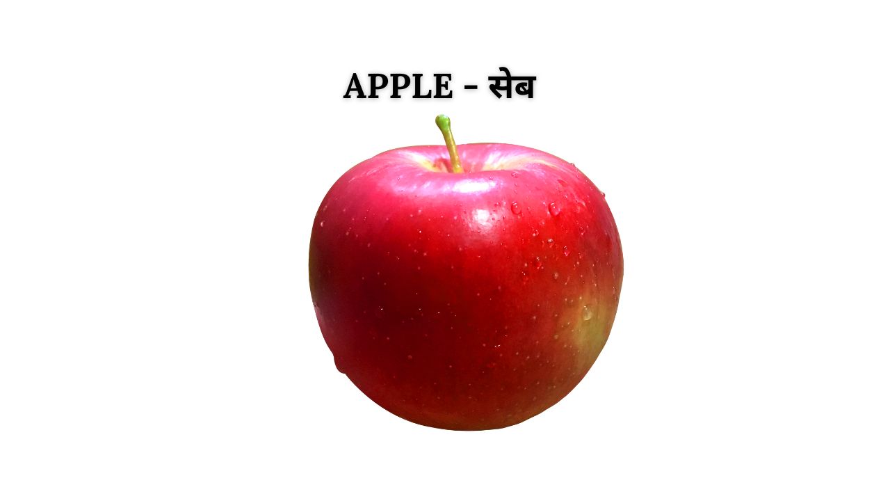 Apple meaning in hindi