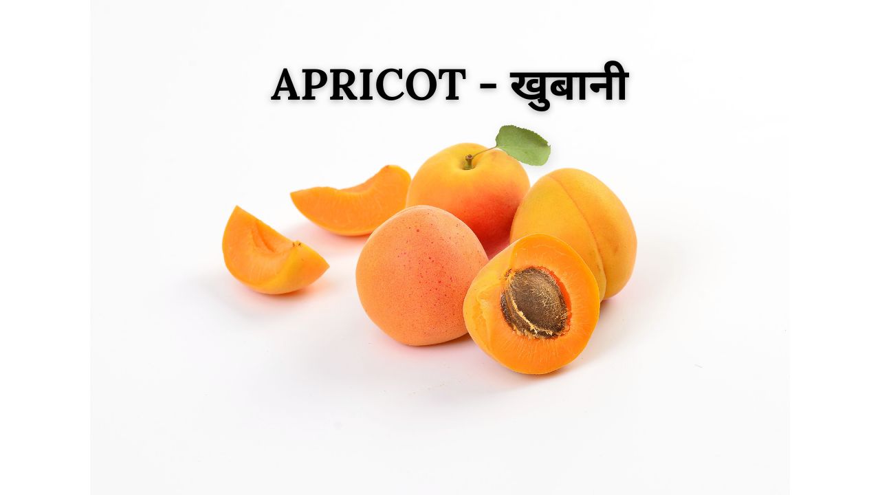 Apricot meaning in hindi