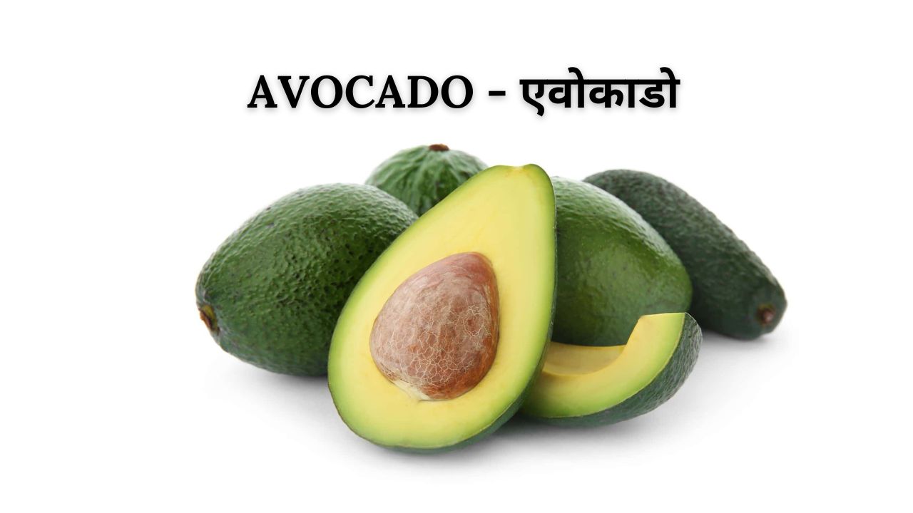Avocado meaning in hindi