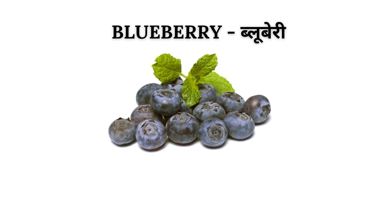 Blueberry meaning in hindi