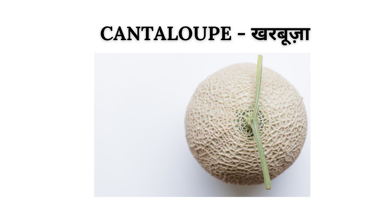 Cantaloupe meaning in hindi