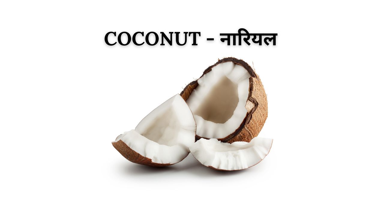 Coconut meaning in hindi