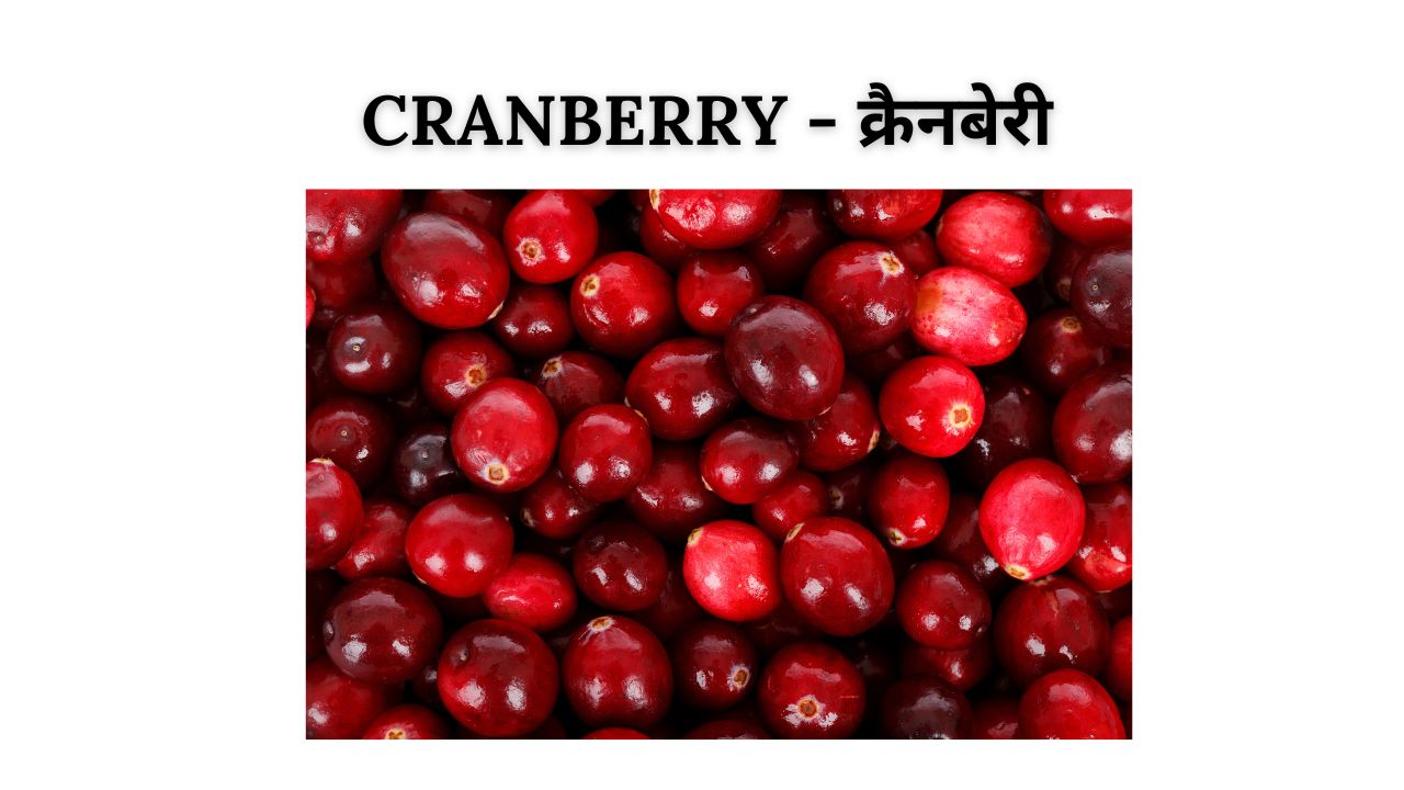 Cranberry meaning in hindi