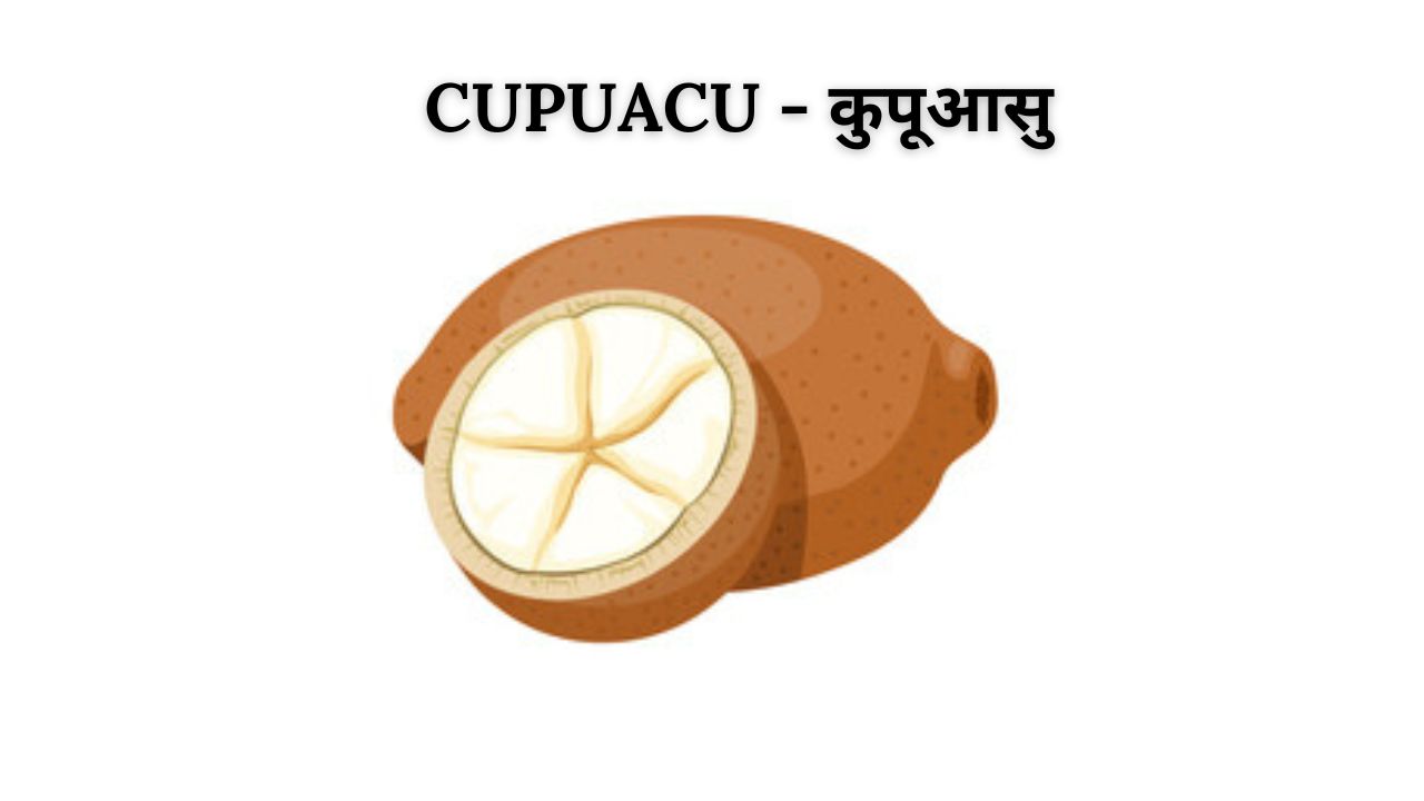 Cupuacu meaning in hindi