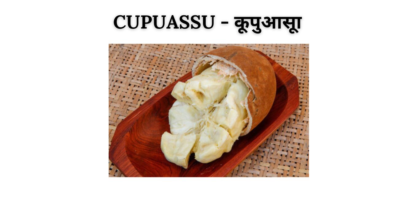 Cupuassu meaning in hindi