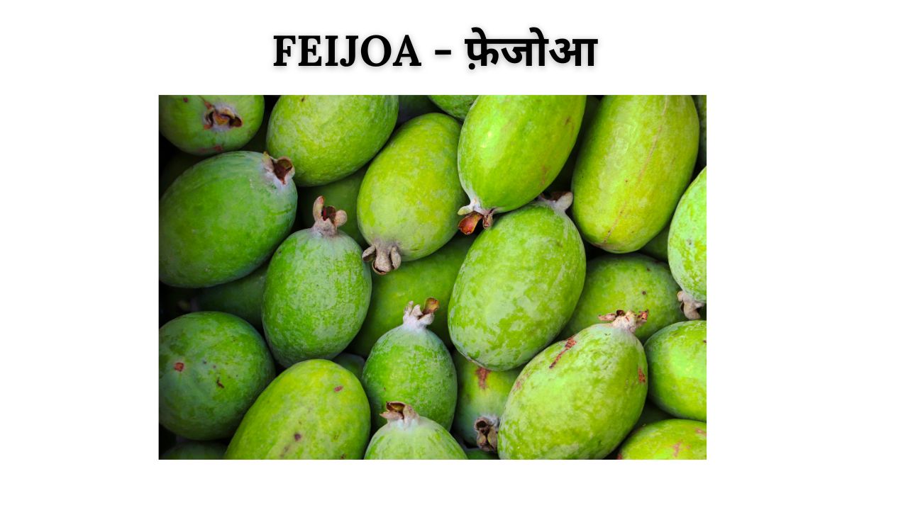 Feijoa meaning in hindi