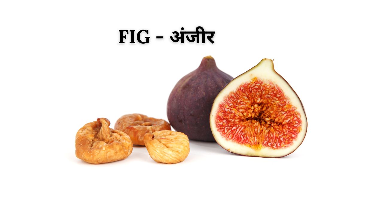 Fig meaning in hindi