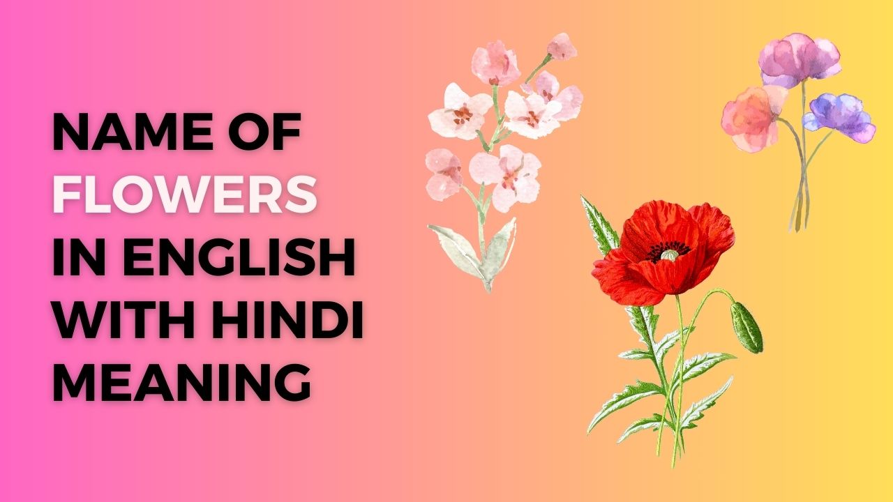 flowers names in Hindi and English