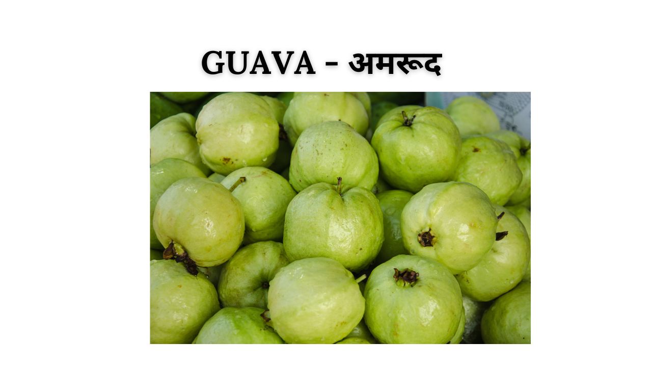 Guava meaning in hindi
