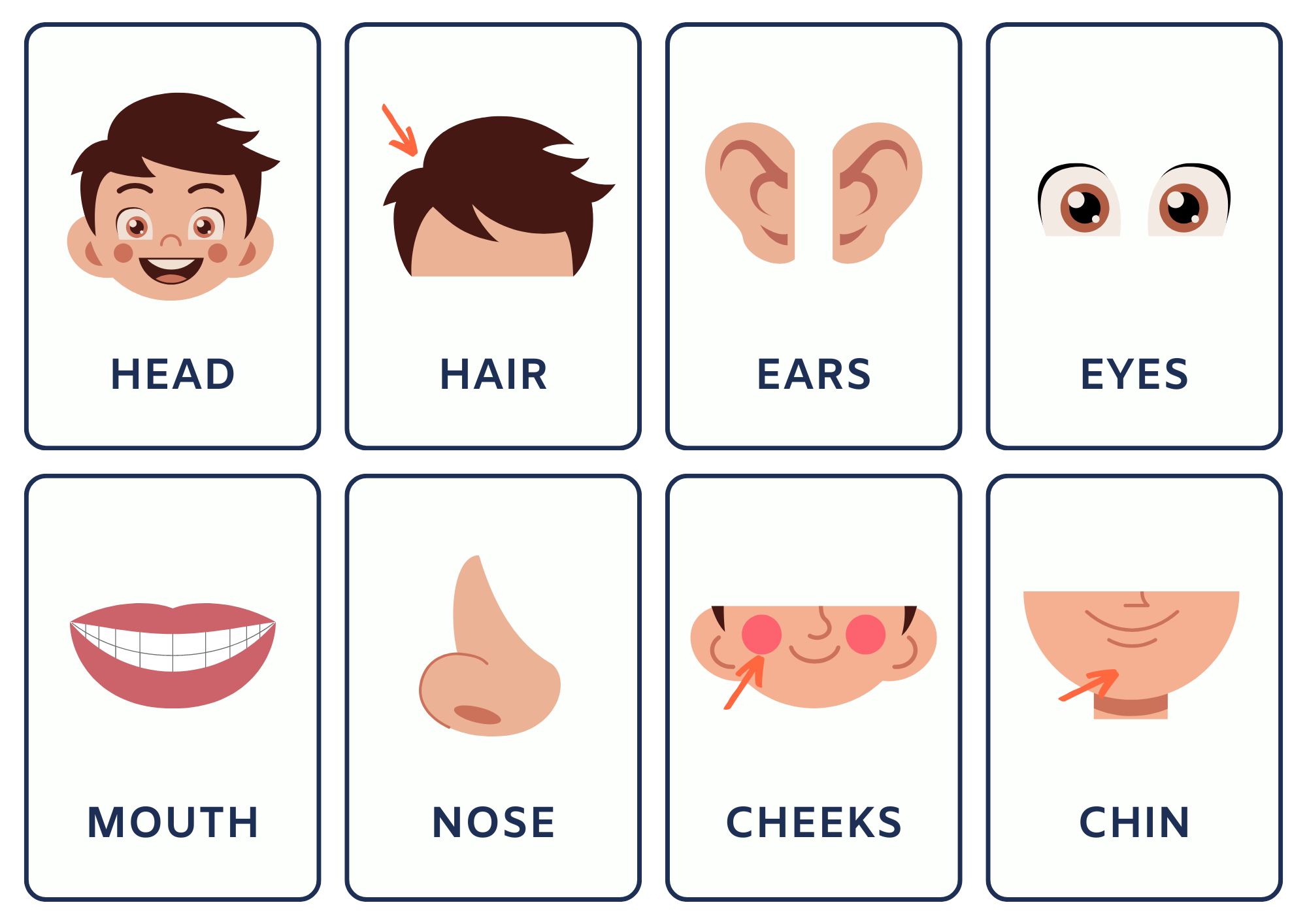 External Human Body Parts in Hindi and English