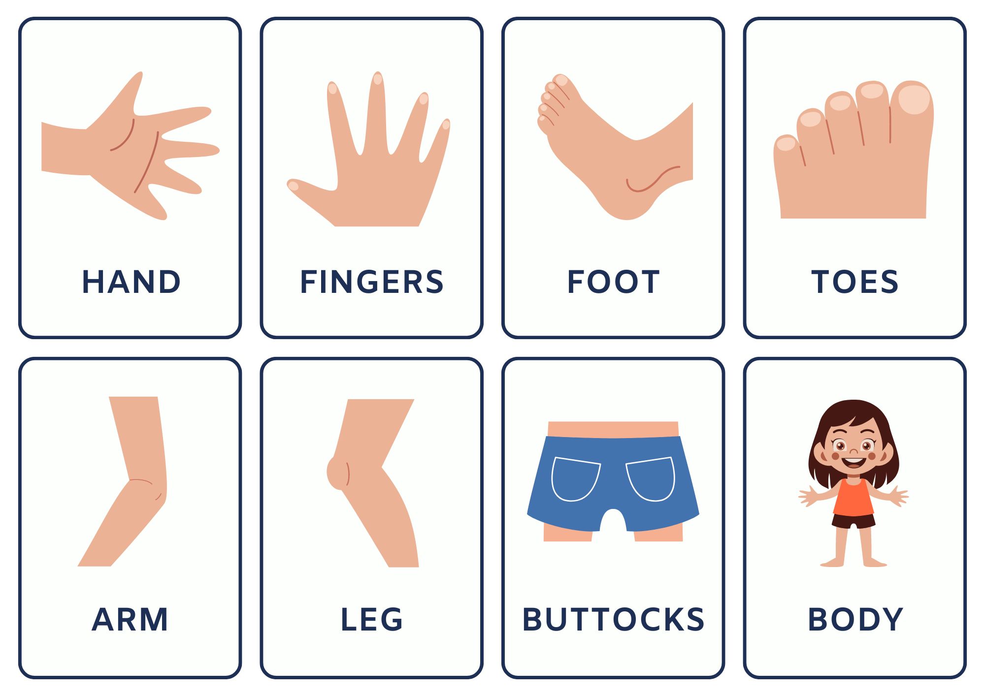 External Human Body Parts in Hindi and English