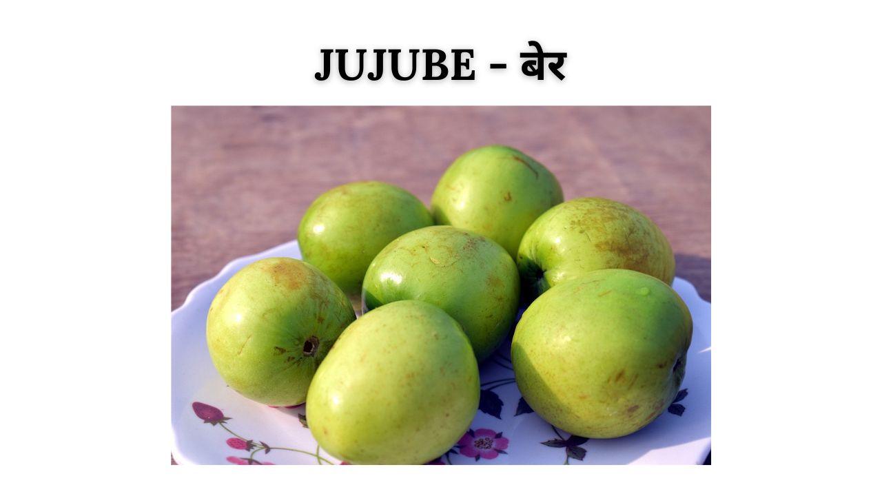 Jujube meaning in hindi