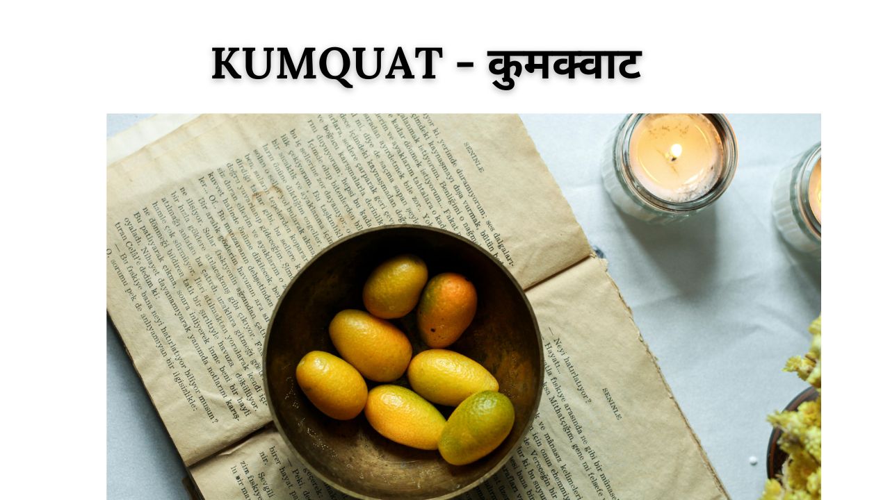 Kumquat meaning in hindi