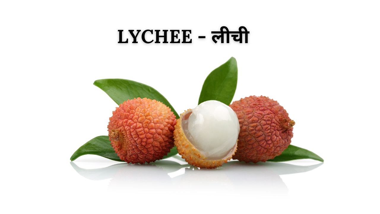 Lychee meaning in hindi