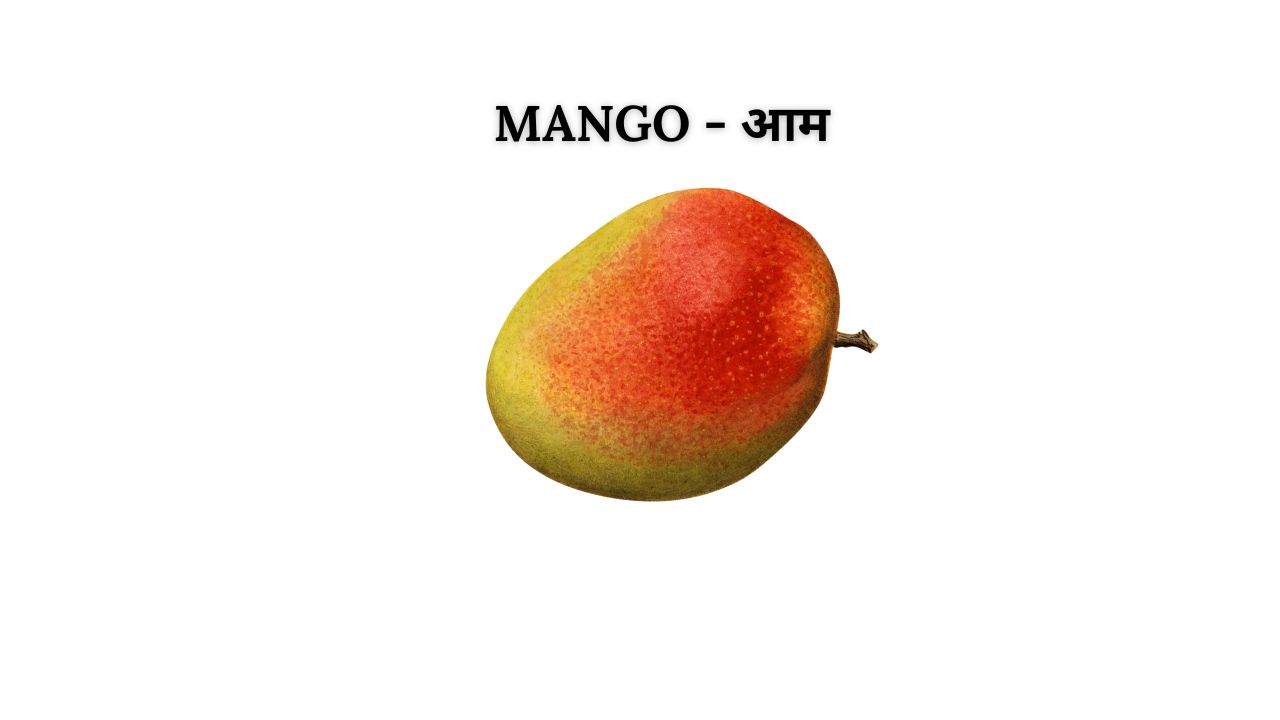Mango meaning in hindi