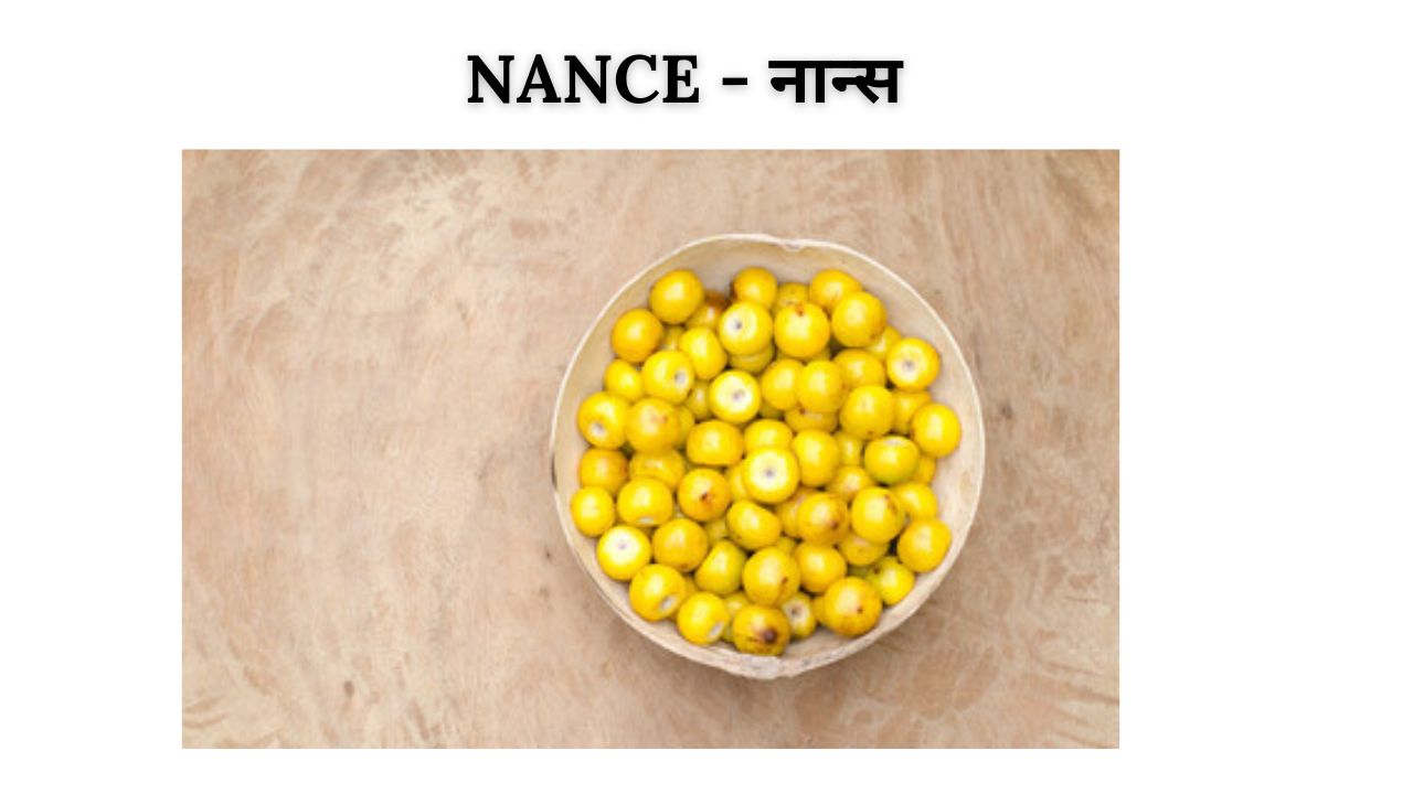 Nance meaning in hindi