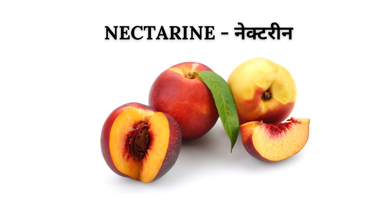 Nectarine meaning in hindi