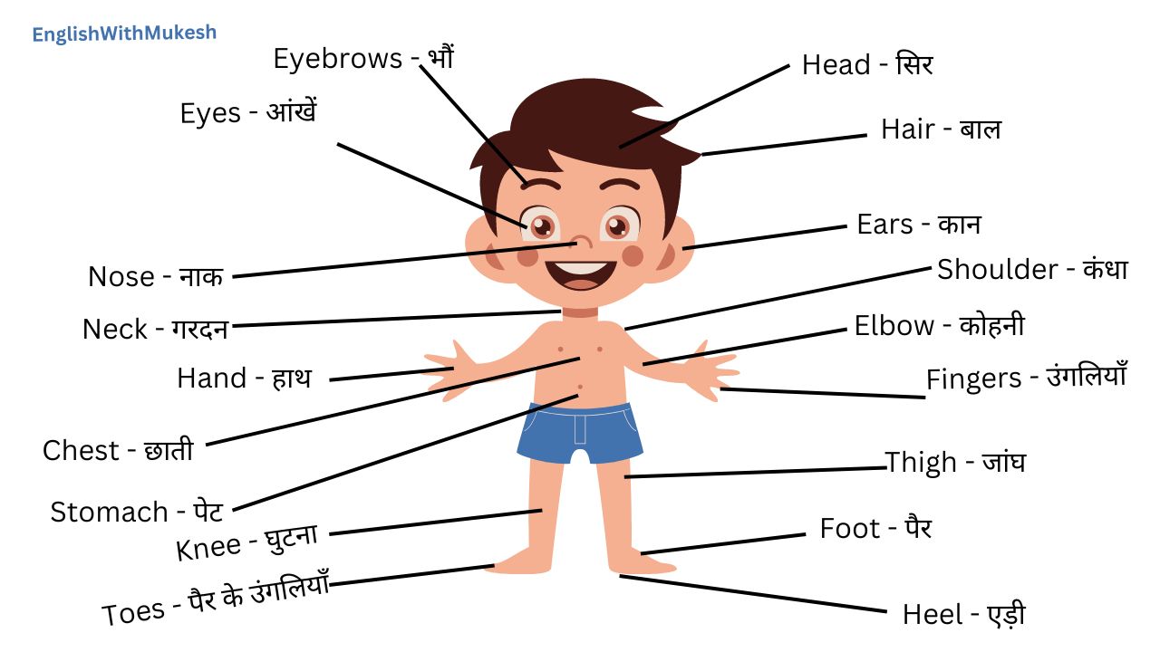 External Body Parts in Hindi and English