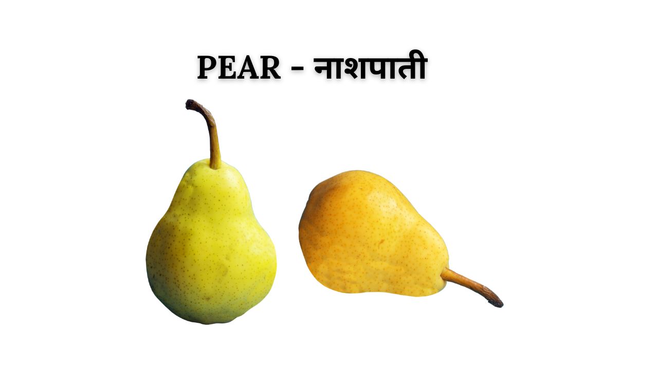 Pear meaning in hindi