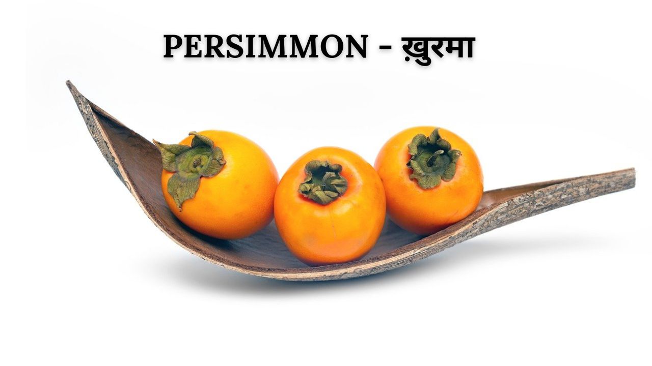 Persimmon meaning in hindi