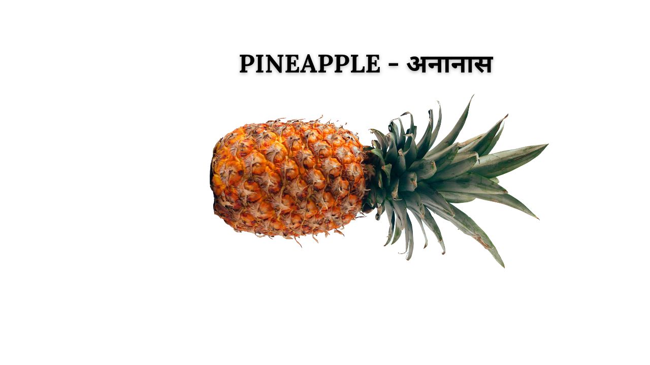 Pineapple meaning in hindi