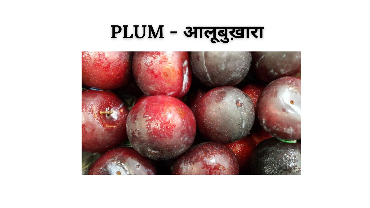 Plum meaning in hindi