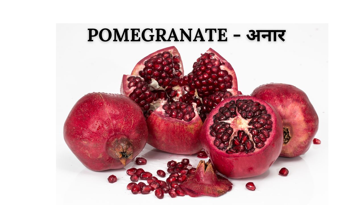 Pomegranate meaning in hindi
