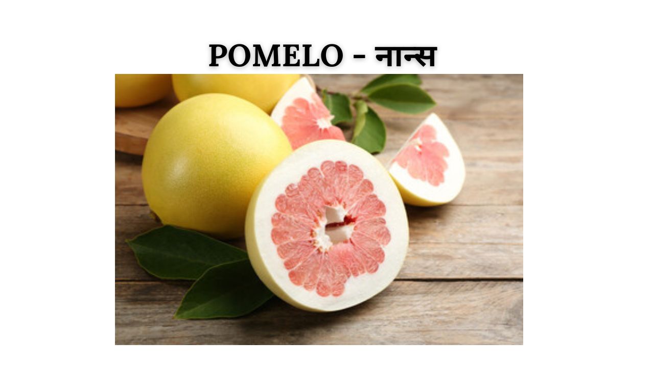 Pomelo meaning in hindi