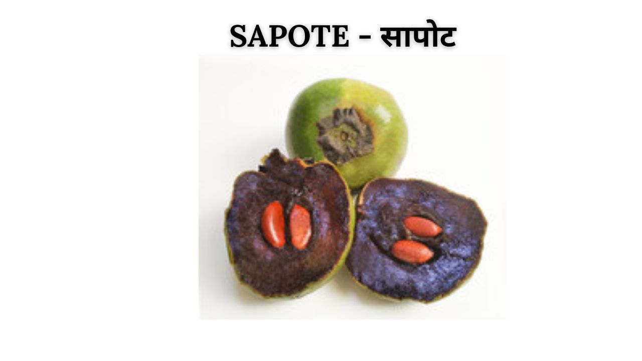 Sapote meaning in hindi