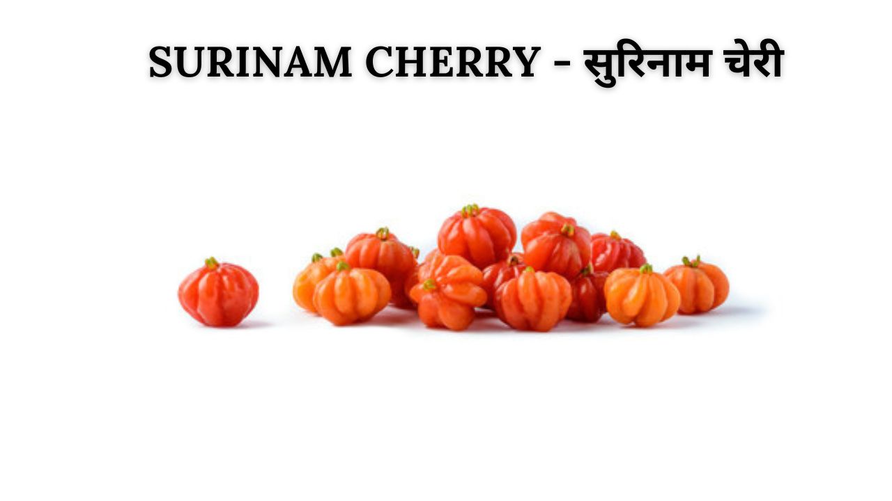 Surinam cherry meaning in hindi