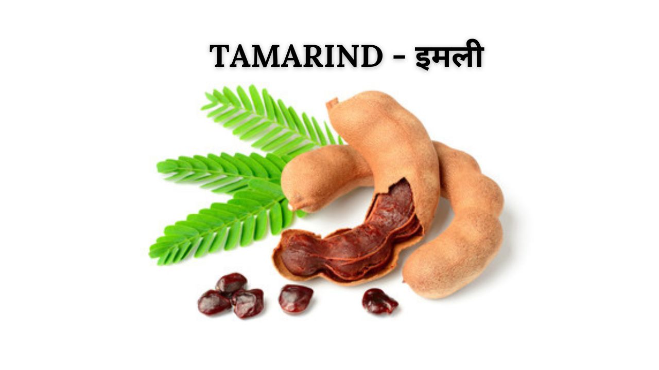 Tamarind meaning in hindi