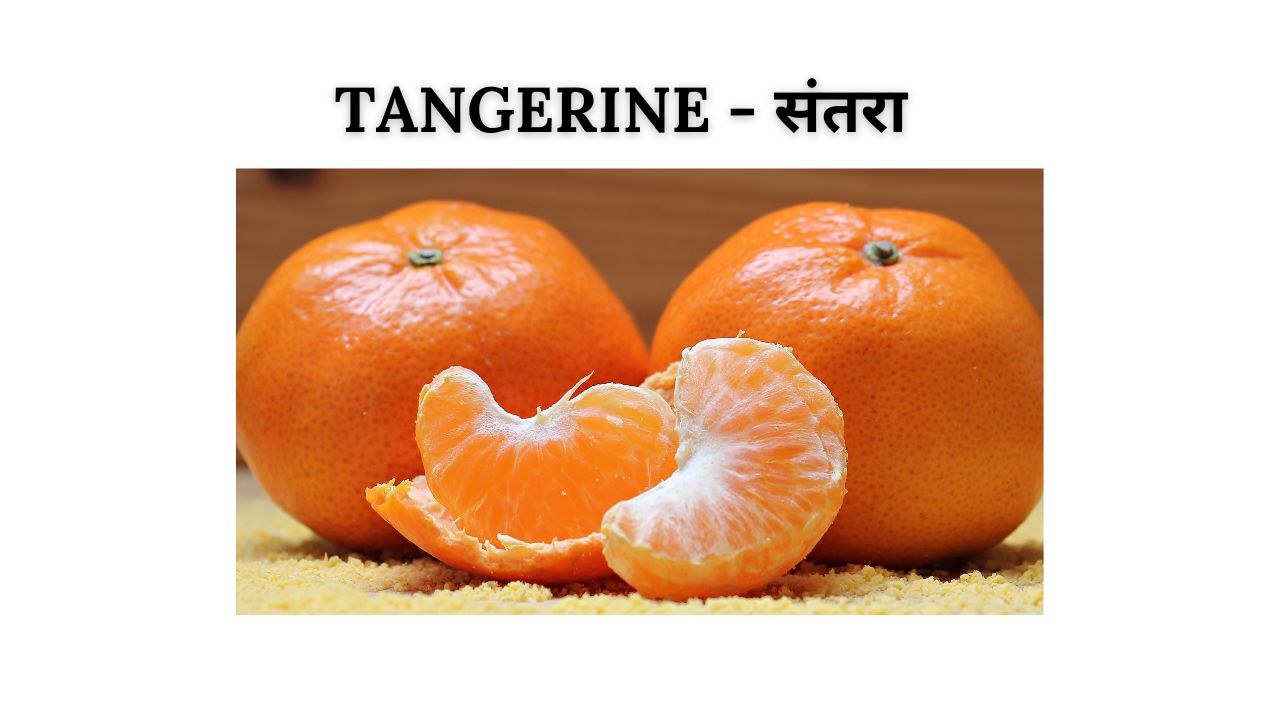 Tangerine meaning in hindi