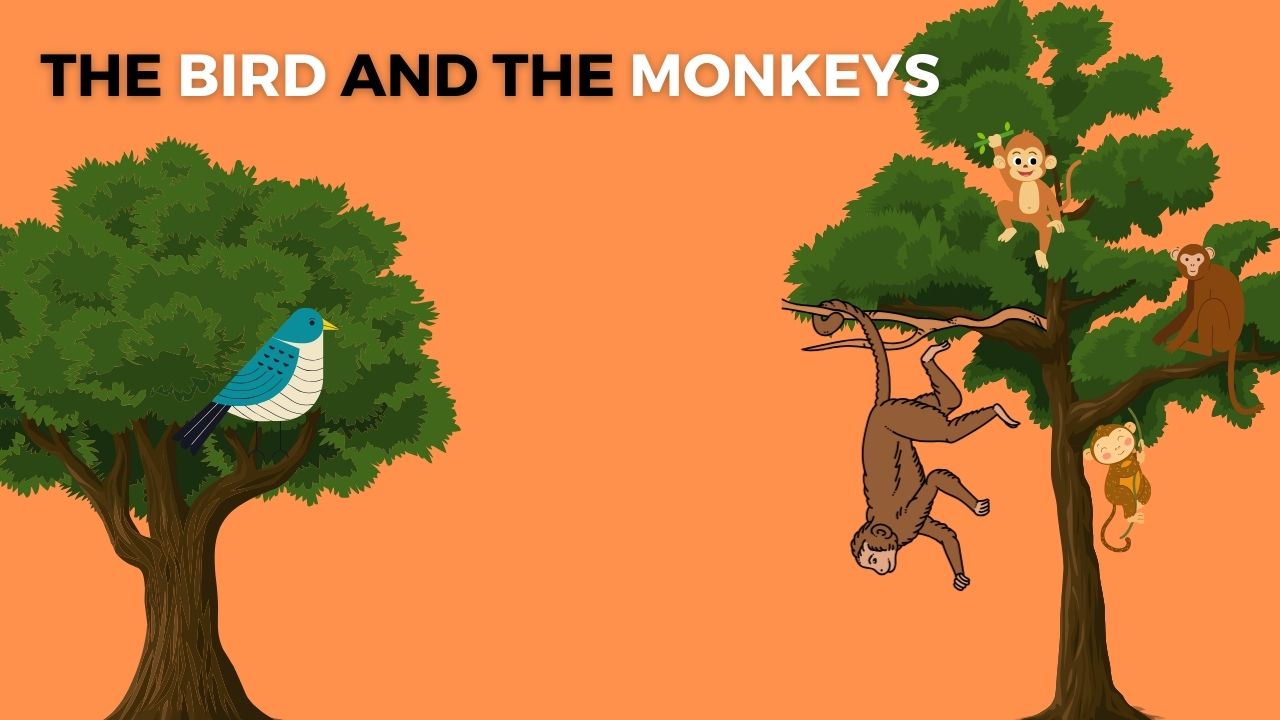 The Bird and the Monkeys Story