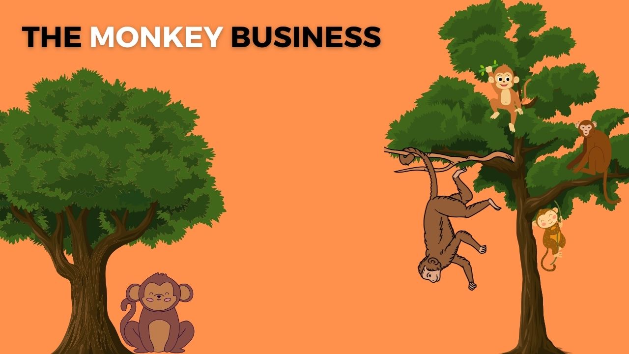 The Monkey Business Story