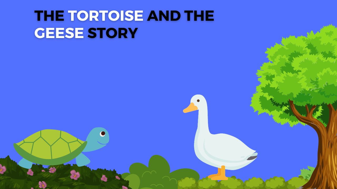 The Tortoise and the Geese Story
