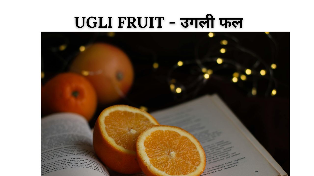 Ugli fruit meaning in hindi