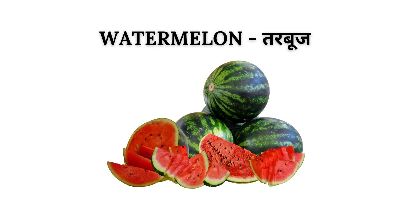 Watermelon meaning in hindi