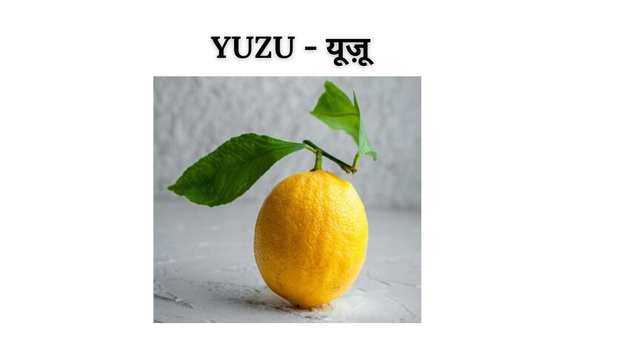 Yuzu meaning in hindi
